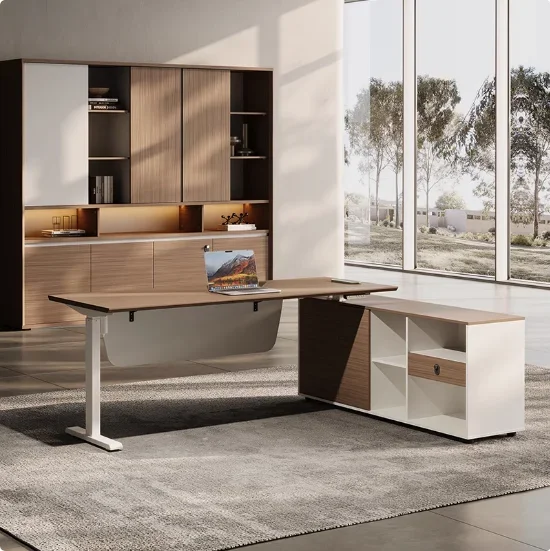 Modern eenvoudig bureau CEO ba - Office Furniture Logo recensie en prijs