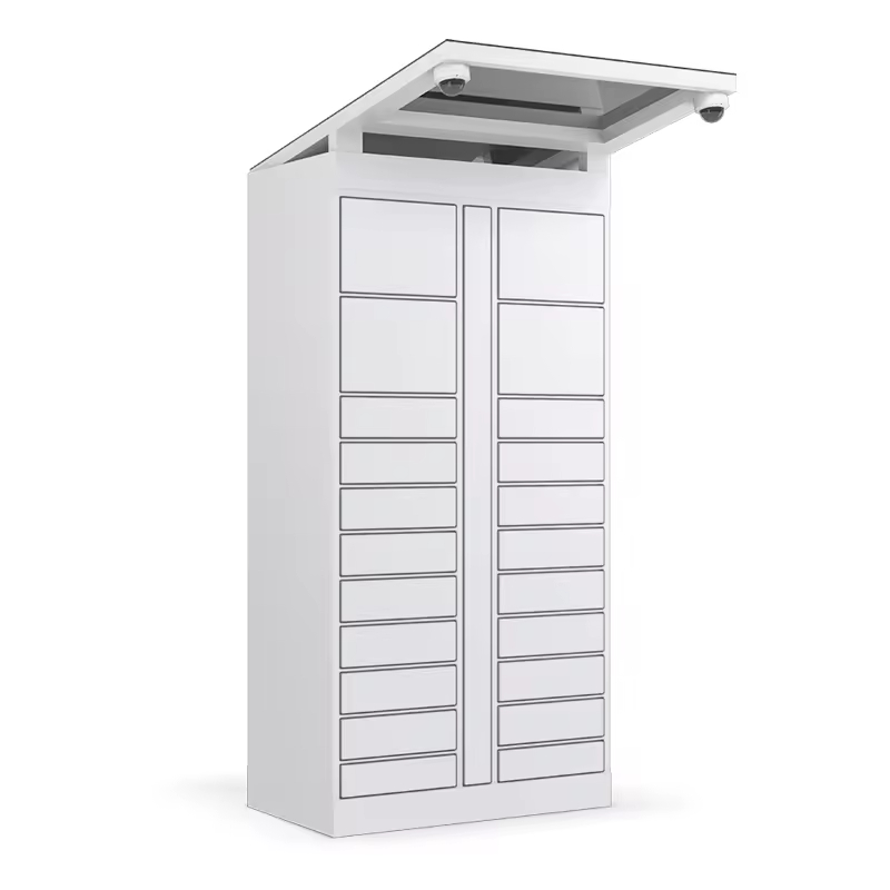 # OEM/ODM 24-uurs zelfbedienin - Locker Storage Metal recensie en prijs