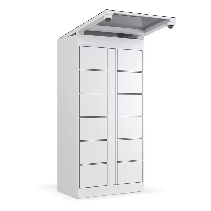 # OEM/ODM 24-uurs zelfbedienin - Locker Storage Metal recensie en prijs